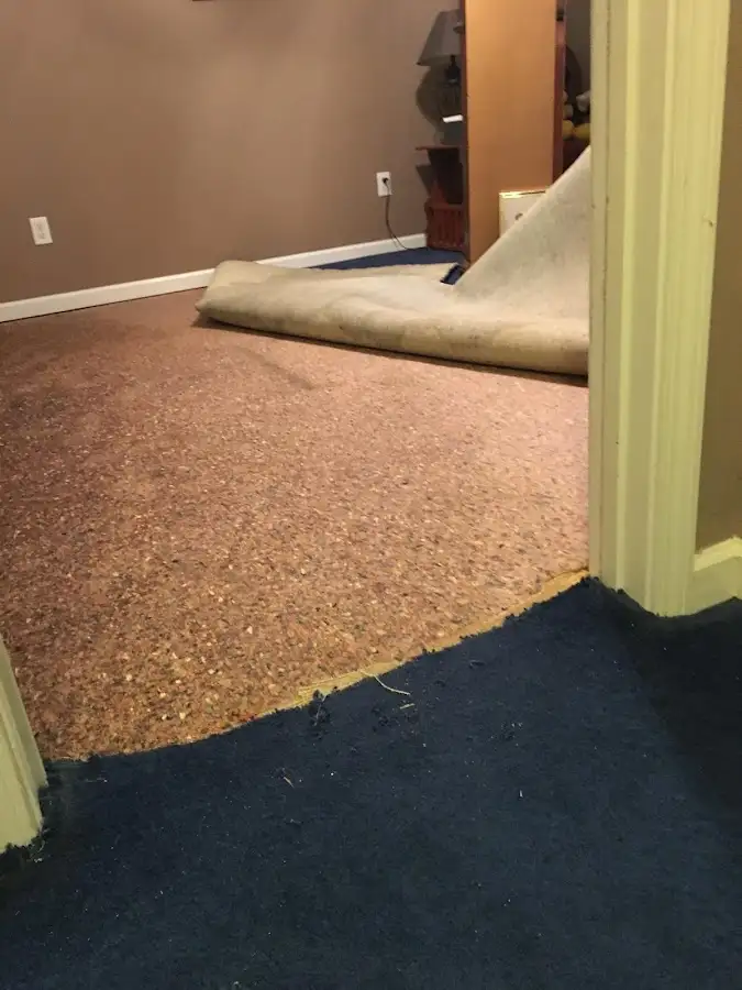 Carpet pad removal revealing water damage during Drying & Dehumidification in Kensington
