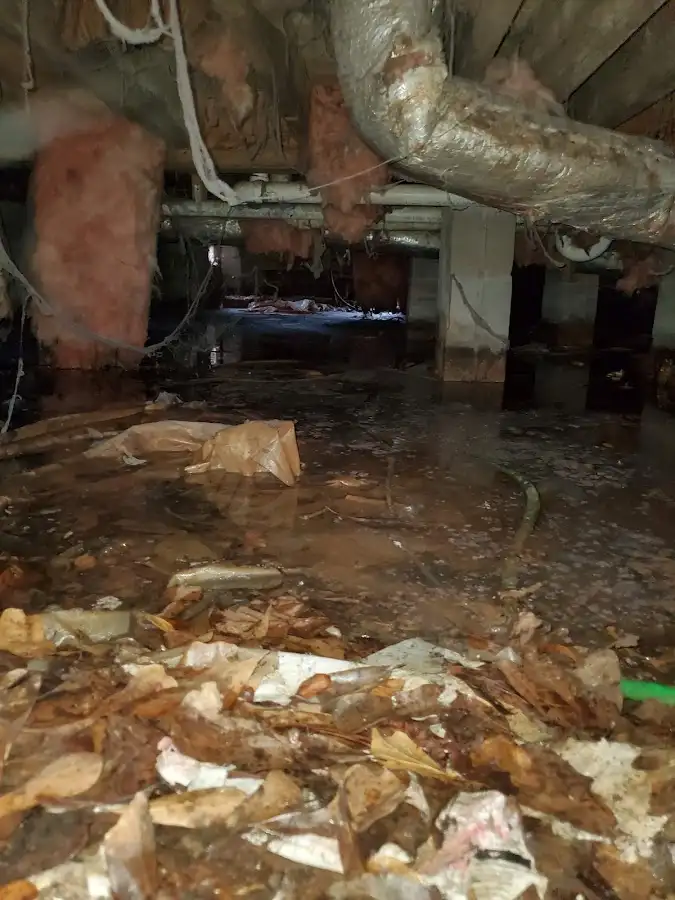 Crawl space flood assessment for Leak Detection & Repair in Kensington