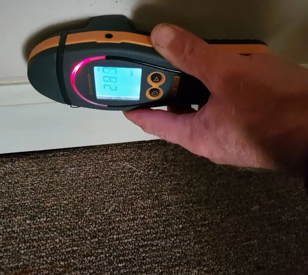 Moisture detection at baseboard during Mold Inspection & Testing in Kensington